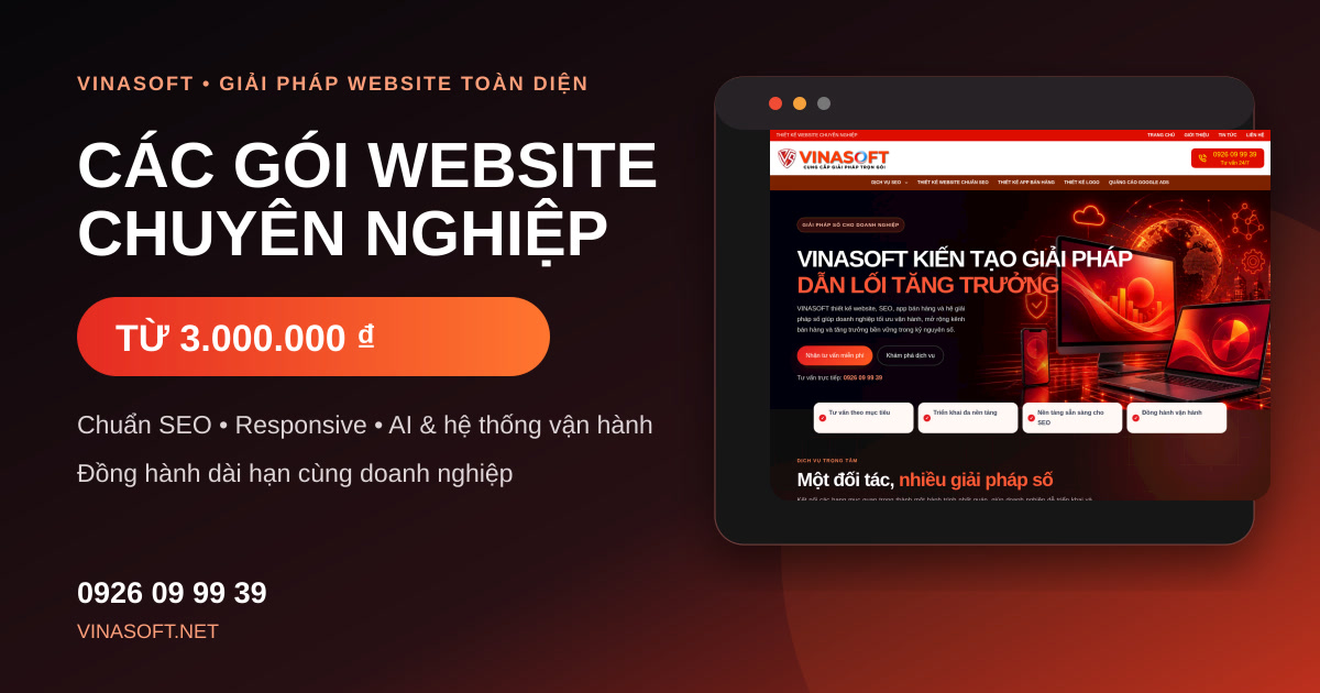 Các gói website chuyên nghiệp VINASOFT từ 3 triệu